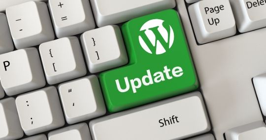 automatische WordPress Updates durchführen
